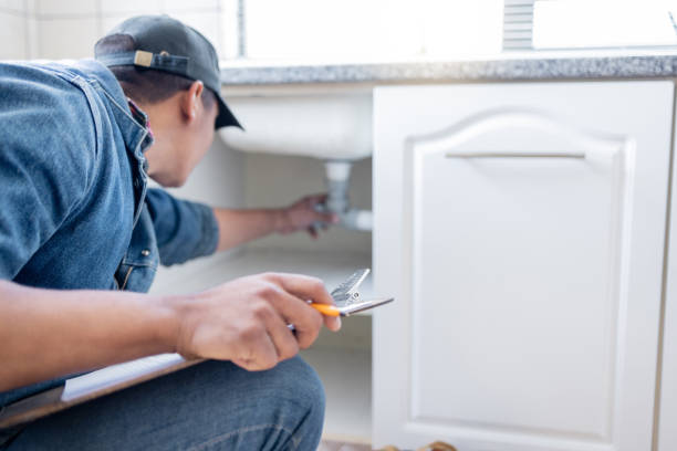 Best Toilet Repair Services  in Sheridan, IL